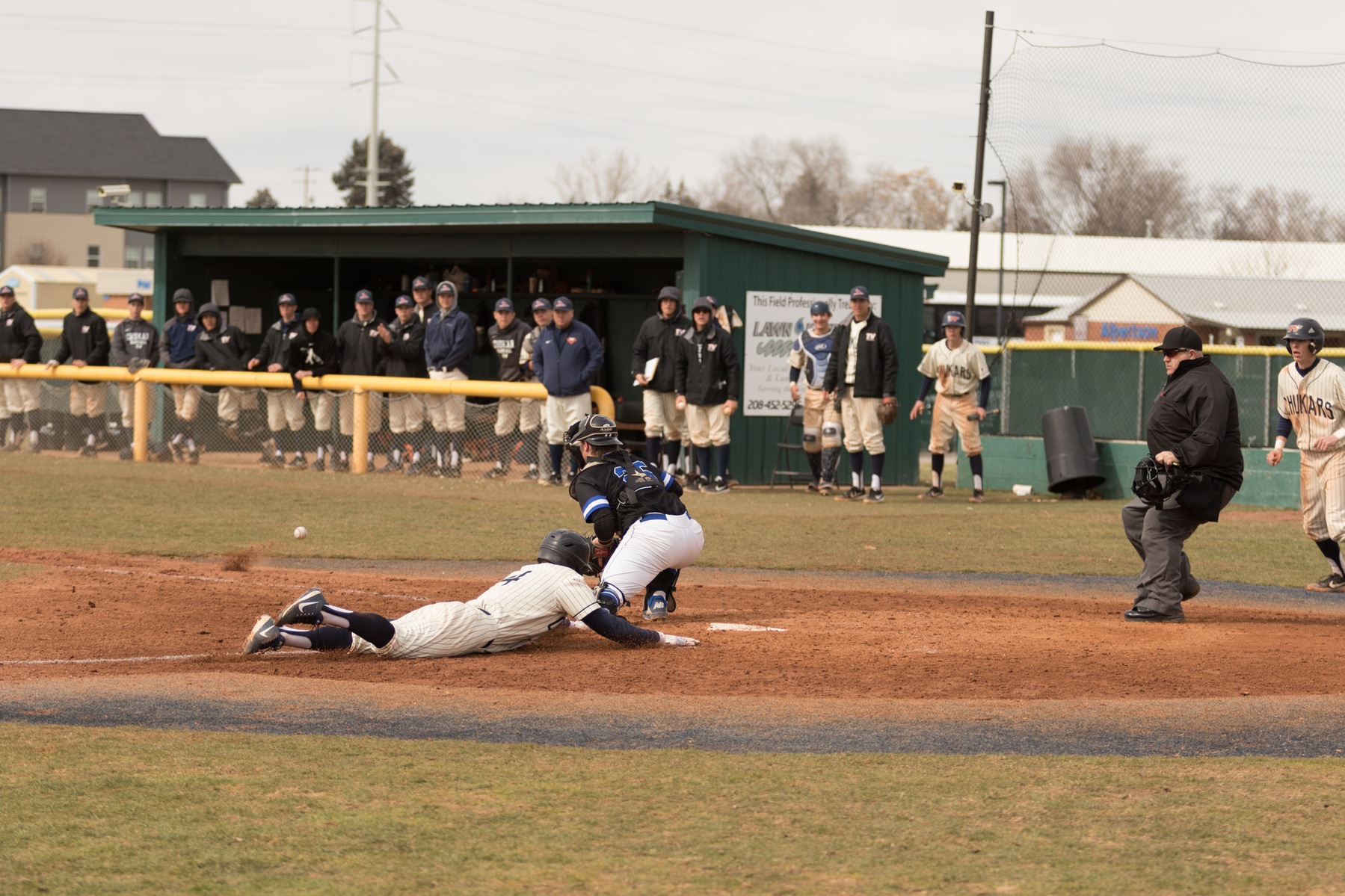 Chukar Baseball Sweeps Grays Harbor