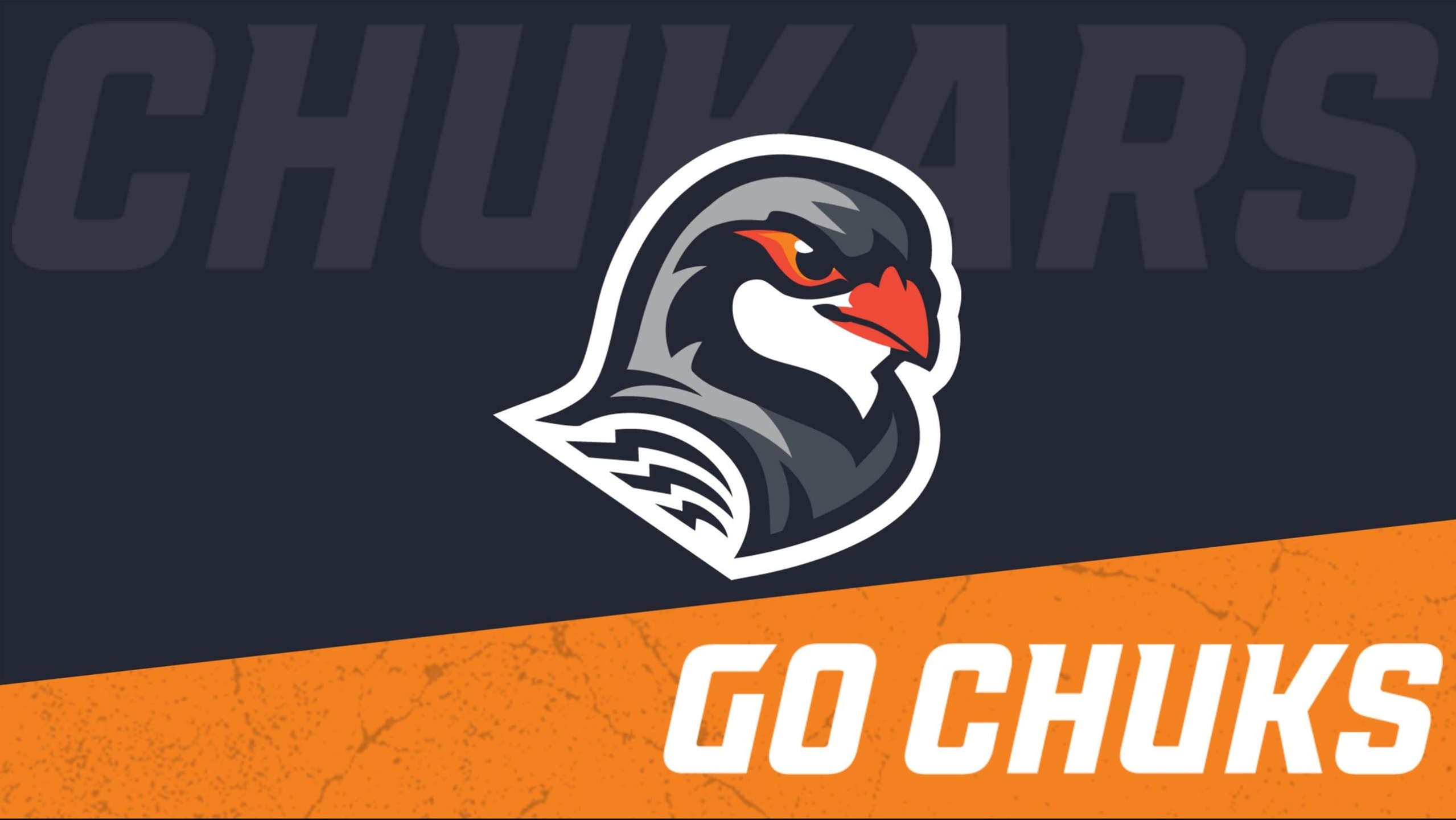 Chukars Show Well at Linfield University