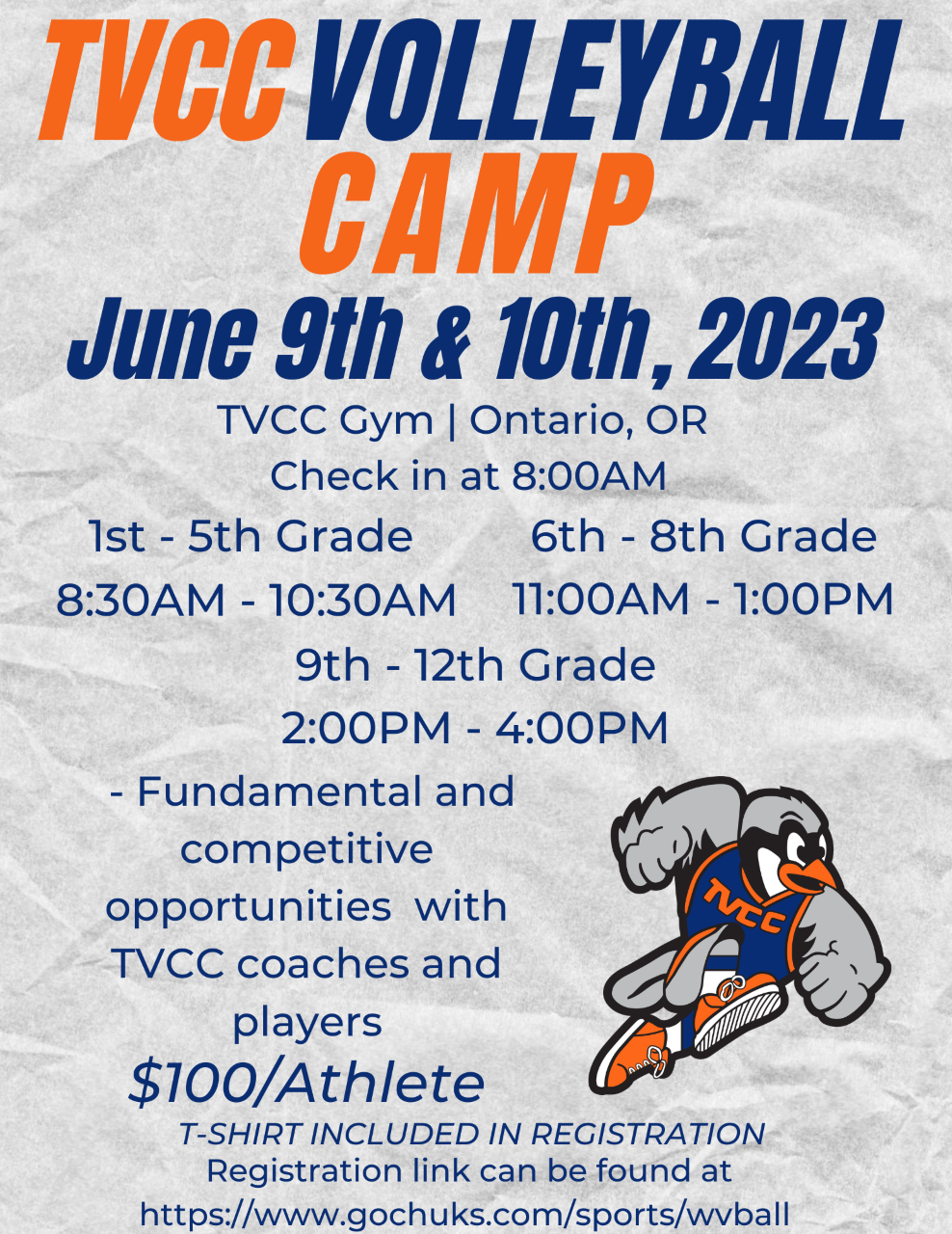Chukar Volleyball Set to Host Camp for 1st-8th Graders in 2023